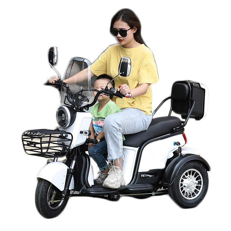 self-balancing electric scooters 3 wheel electric bike EEC trike 500W
