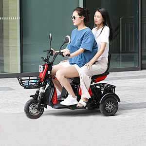 E rickshaw disabled tricycle adult scooter electric motorcycle