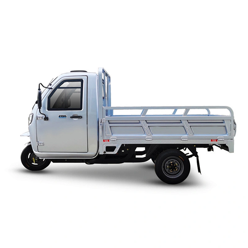 2021 Zsuccess electric tricycle for cargo transportation electric motorcycle for sale