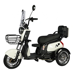 500W family use Ebike three wheeler mini electric tricycle