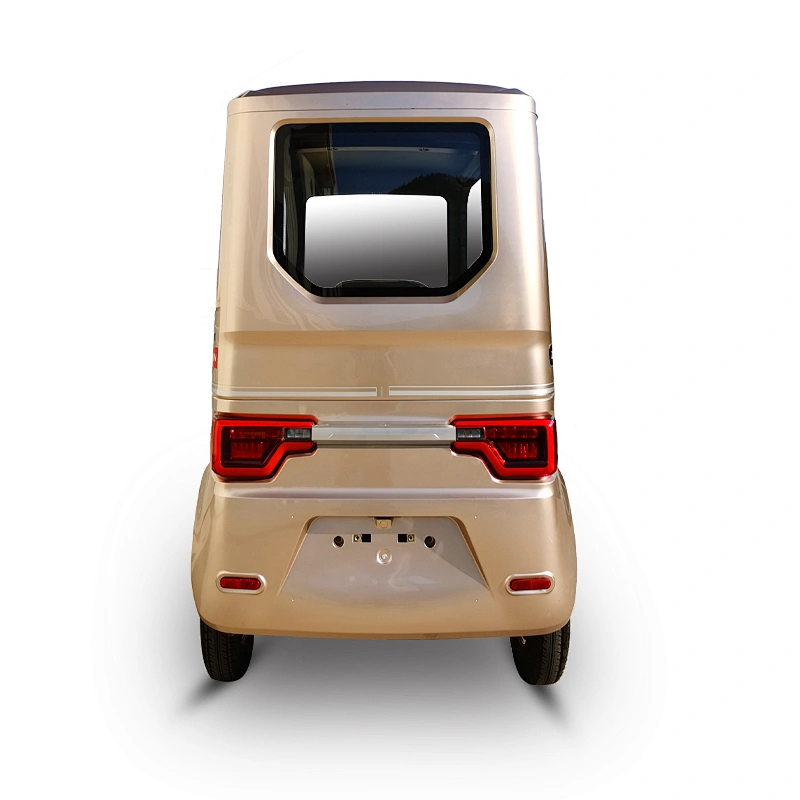 electric tricycle cargo tricycle 3 Wheel Motorcycle semi closed Rickshaw