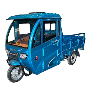 2021 Zsuccess electric tricycle cargo tricycle 3 Wheel Motorcycle ZS-150(160)LM