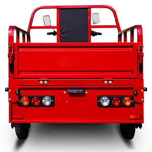 2021 Z-success elektro tricycl cargo 3 Wheel delivery Motorcycle DHL express company