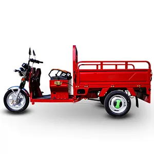 2021 Z-success elektro tricycl cargo 3 Wheel delivery Motorcycle DHL express company