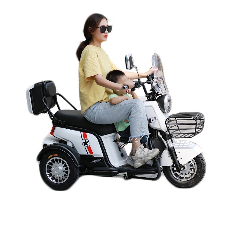 self-balancing electric scooters 3 wheel electric bike EEC trike 500W