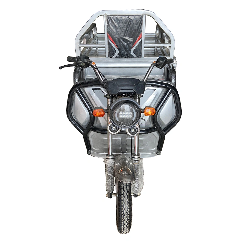 electric tricycle cargo tricycle three-Wheeled Motorcycle  Rickshaw Fully Enclosedr Cargo ZS-130LM