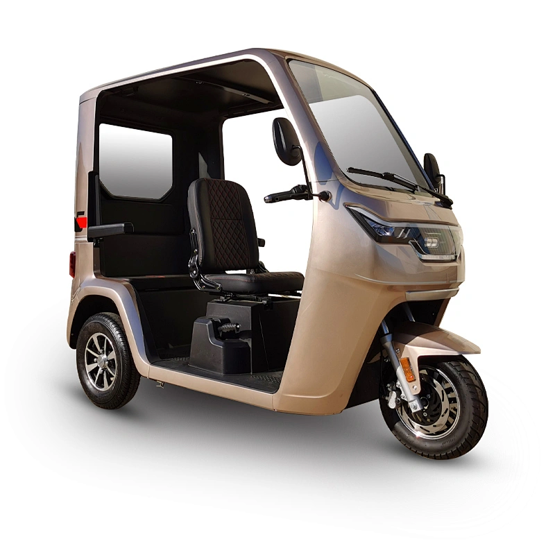 electric tricycle cargo tricycle 3 Wheel Motorcycle semi closed Rickshaw