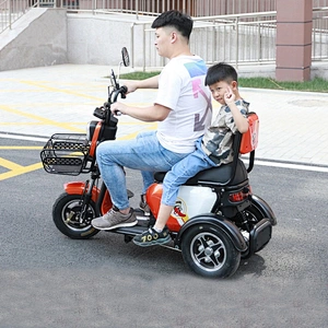 Other Tricycles adult tricycle electric trikez