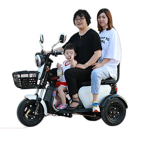 3 wheels electric adult tricycle 48V 60V electric tricycle for elder