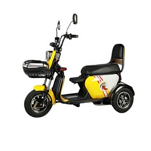 Other Tricycles adult tricycle electric trikez