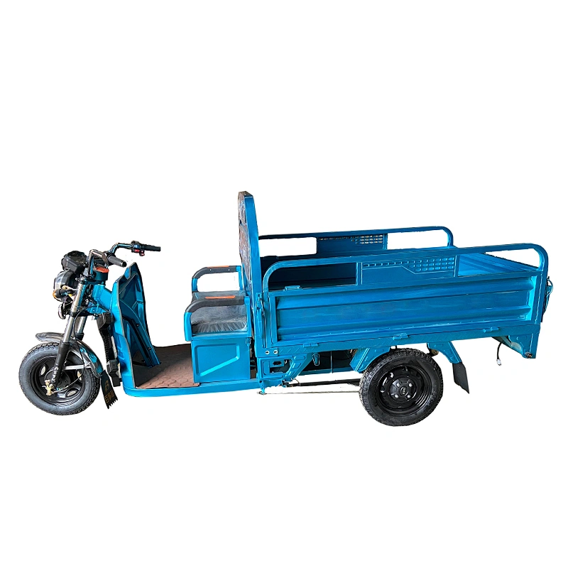 E Power Electric Tricycles With Big Loading  cargo tricycle three-Wheeled Motorcycle ZS-160LB