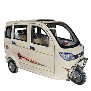 cargo tricycle three Wheeler Motorcycle tuk tuk rickshaw for sale Fully Enclosed Cargo electric tricycle