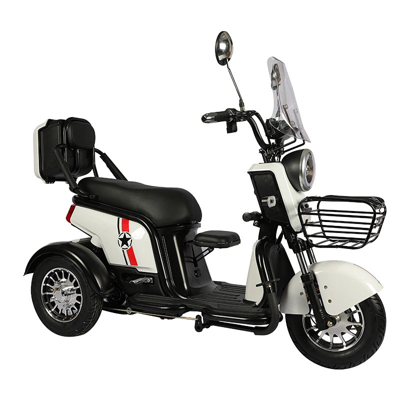 self-balancing electric scooters 3 wheel electric bike EEC trike 500W