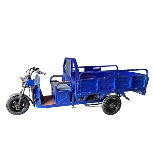 cargo tricycle for adult electric tricycle 3000w electric cargo tricycle  passenger tricycle moto tricycle