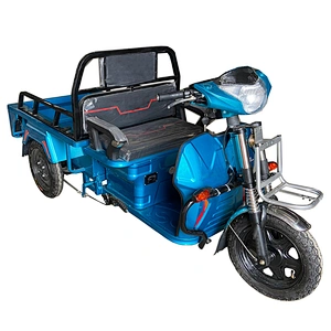 electric tricycle for parcel delivery express industry 800W  cargo tricycle three-Wheeled Motorcycle ZS-110LB