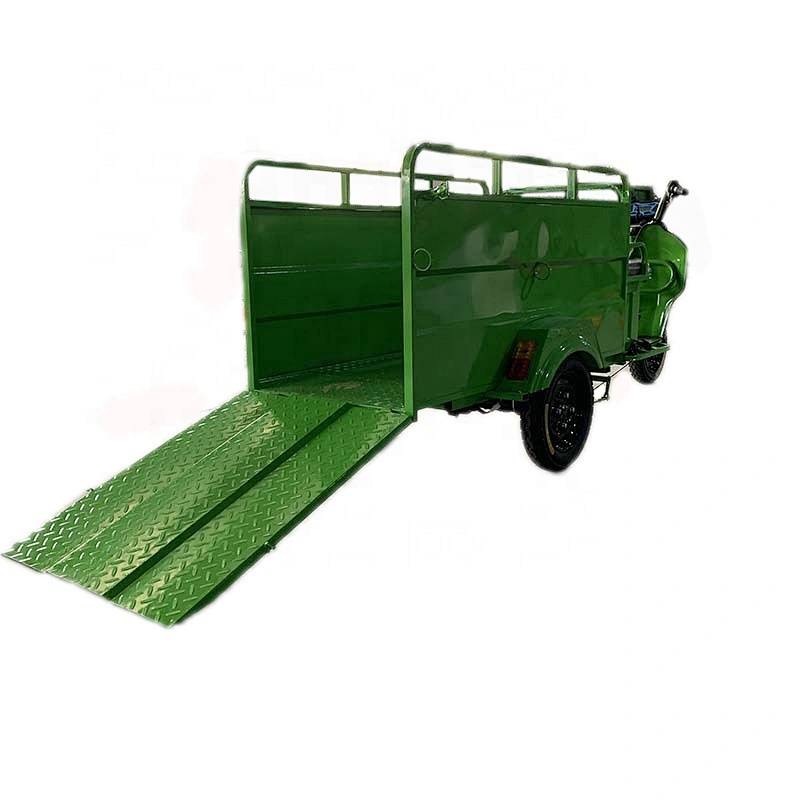 electric three-wheel double bucket road garbage collector mini garbage truck