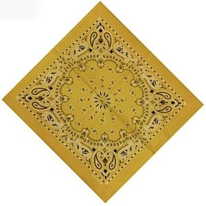 Paisley bandana kerchief cotton