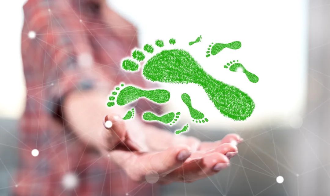 中俄新航线启动,墨西哥大范围加税,印度实施进口限令