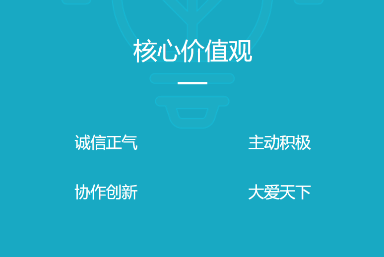 核心价值观：诚信正气、主动积极、协作创新、大爱天下。