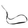Lanyard