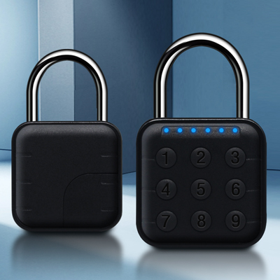 keyless entry padlock with password