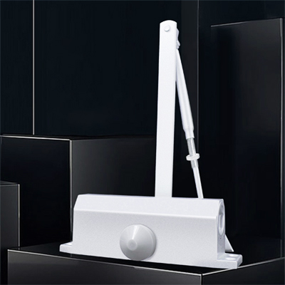 chiudiporta montato in superficie adatto per porte da 45 ~ 60 kg