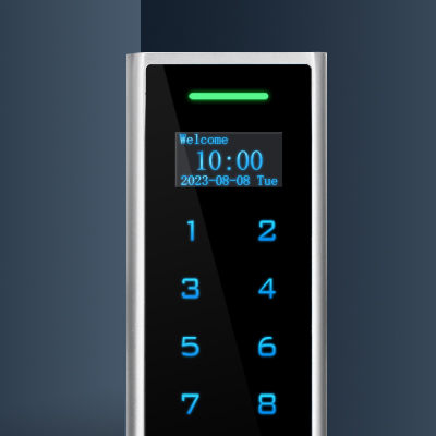 Standalone access control with OLED display