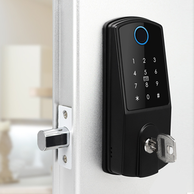 Entrada sin llave 5 en 1: aplicación TTlock, código PIN, tarjeta Mifare, huella digital y llave mecánica