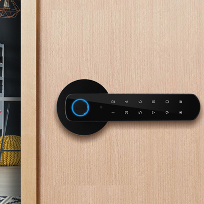 другой способ входа в беспроводной интеллектуальный замок secukey