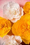 Crepe Paper Flowers