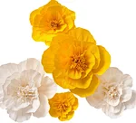 Crepe Paper Flowers