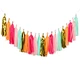 paper tassel garland