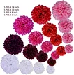 Paper pompom Flower
