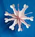 Crafts Paper Flower
