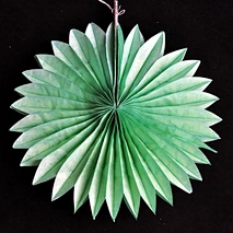 Tissue Paper Fan