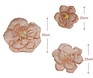 Crepe Paper Flowers