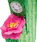 Cactus Pinata