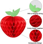 honeycomb paper Kit