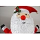 outdoor christmas lighted  decorations