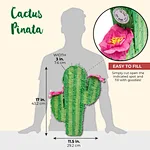 Cactus Pinata