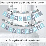Baby Shower theme party decoration