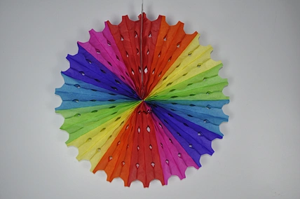 Tissue Paper Fan