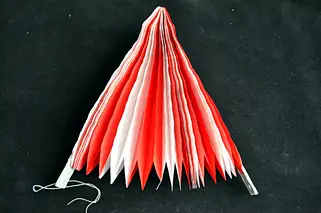 Tissue Paper Fan