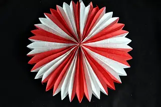 Tissue Paper Fan