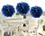 Paper pompom Flower