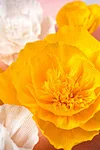 Crepe Paper Flowers