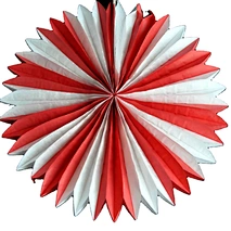 Tissue Paper Fan
