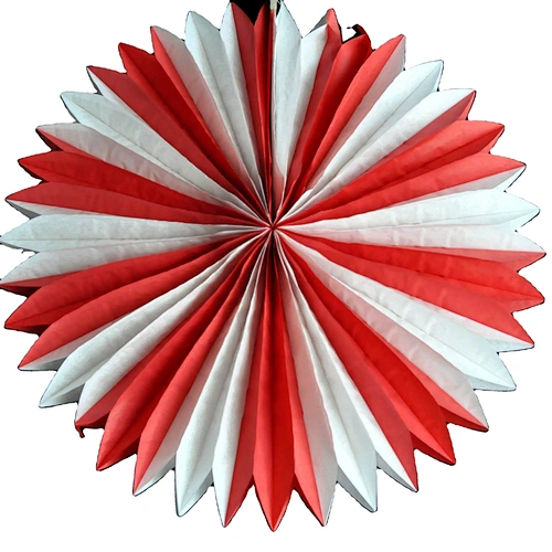 Tissue Paper Fan
