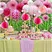 paper flower paper pomppoms paper