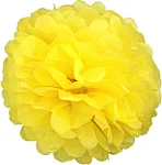 Paper pompom Flower